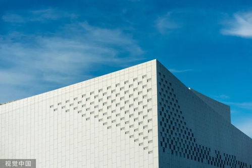 8萬元深圳3日游？網(wǎng)友調侃 努力一把，9萬元回家